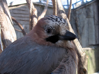 Similar image 140574