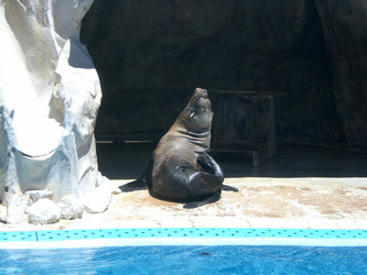 Similar image 140575