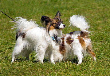 Similar image 140635