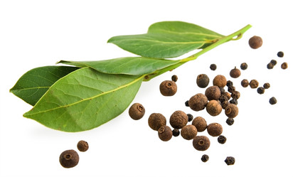 Similar image 140640