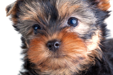 Similar image 140650