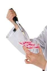 Similar image 140656