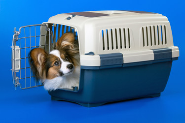 Similar image 140661