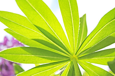 Similar image 140662