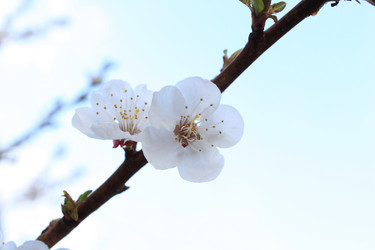 Similar image 140690