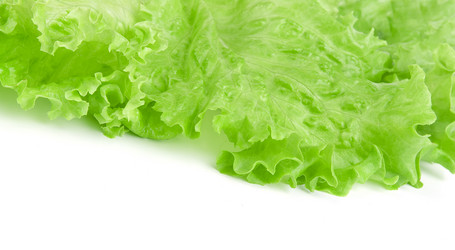 Similar image 140696