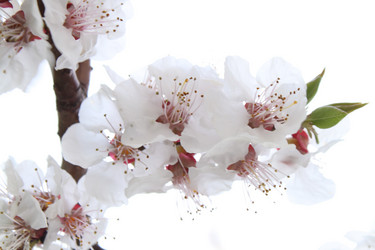 Similar image 140739