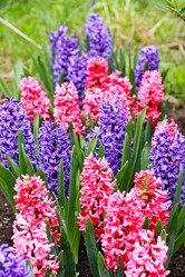 Similar image 140782