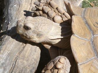 Similar image 140788