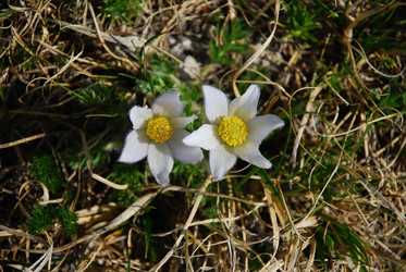 Similar image 140789