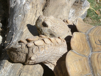 Similar image 140791