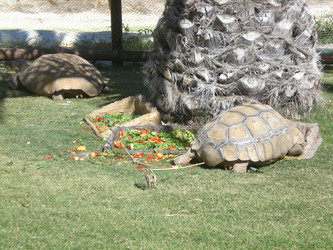 Similar image 140794