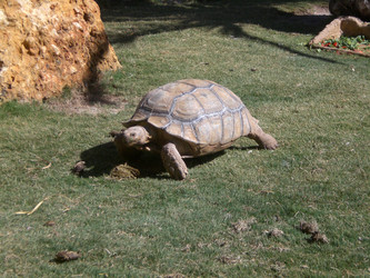 Similar image 140797