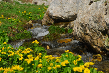 Similar image 140800