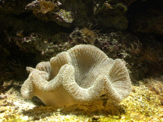 Similar image 140812