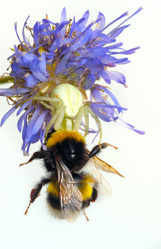 Similar image 140816