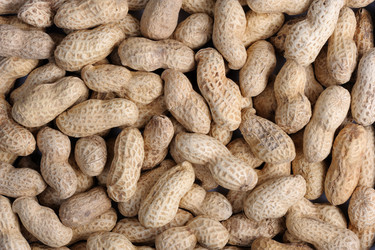 Similar image 140848