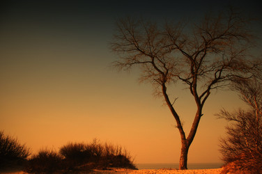 Similar image 140864