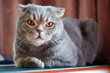 Similar image 140885