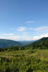 Similar image 140886