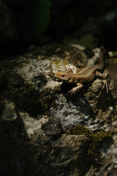 Similar image 140891