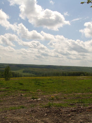 Similar image 140892