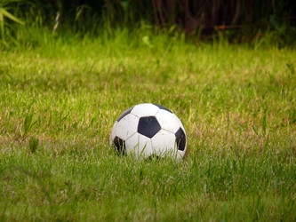 Similar image 140922