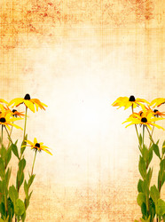 Similar image 140927