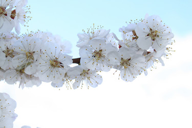 Similar image 140935