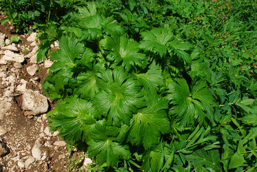 Similar image 140978