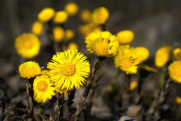 Similar image 141002