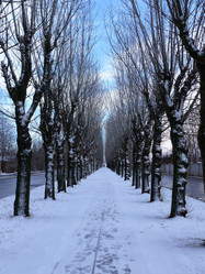 Similar image 141005