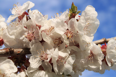 Similar image 141042