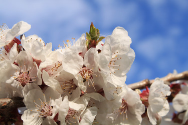 Similar image 141052