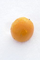 Similar image 141077