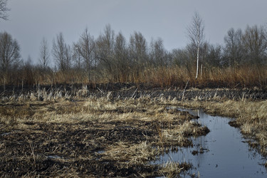 Similar image 141086