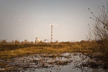 Similar image 141095