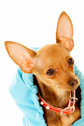 Similar image 141106