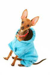 Similar image 141108