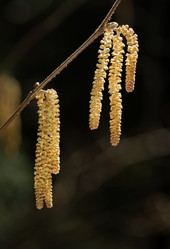 Similar image 141112