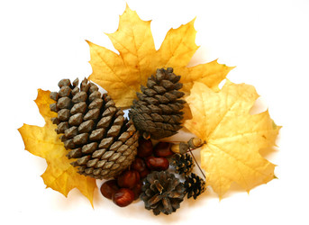 Similar image 141141