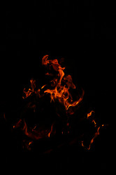 Similar image 141143