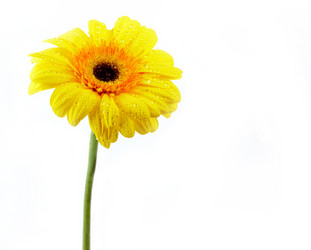 Similar image 141149