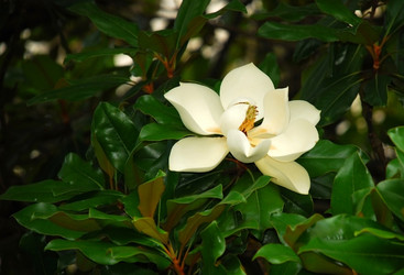 Similar image 141154