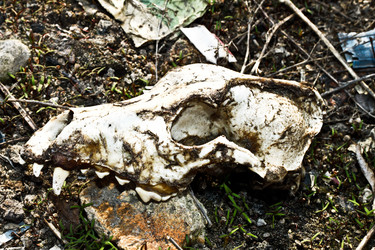 Similar image 141156