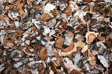 Similar image 141159