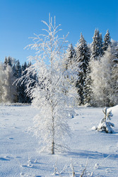 Similar image 141165