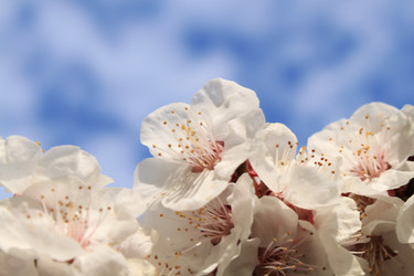 Similar image 141180