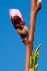 Similar image 141182