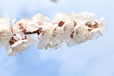 Similar image 141190